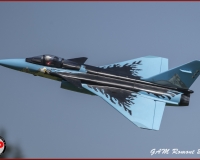 TSR Watermark - 0403